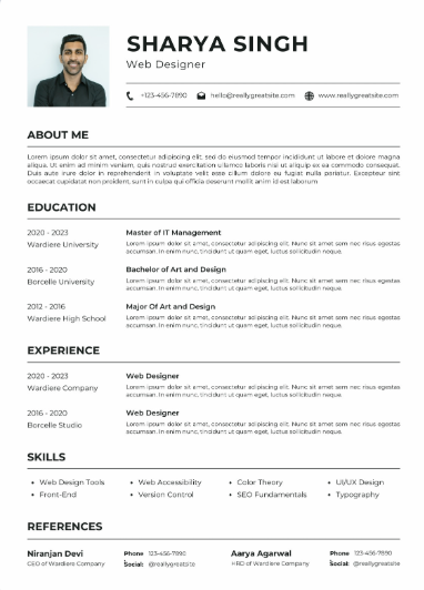 Professional CV Sample 29